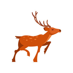 Fototapeta na wymiar Brown spotted deer with antlers, wild animal cartoon vector Illustration