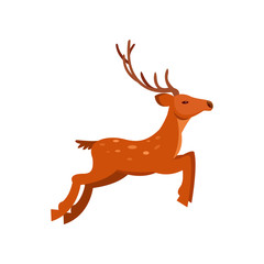 Brown graceful spotted deer with antlers, wild animal cartoon vector Illustration