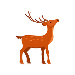 Graceful brown spotted deer with antlers, wild animal cartoon vector Illustration