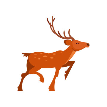 Brown spotted deer with antlers, wild animal cartoon vector Illustration