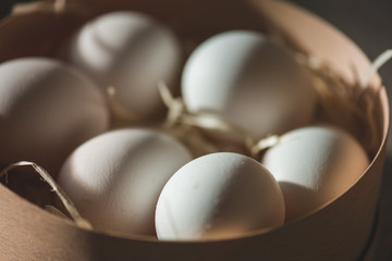 Fresh white eggs over blue background