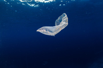 Marine Pollution - a discarded plastic packet floats in the ocean above an otherwise healthy tropical coral reef