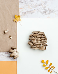 Fototapeta na wymiar Oyster mushrooms on a combed background of kraft paper, marble and orange table..