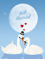 Obraz na płótnie Canvas Wedding of swans in the moonlight