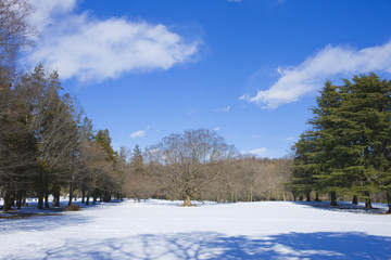 Fototapeta na wymiar Winter park snow