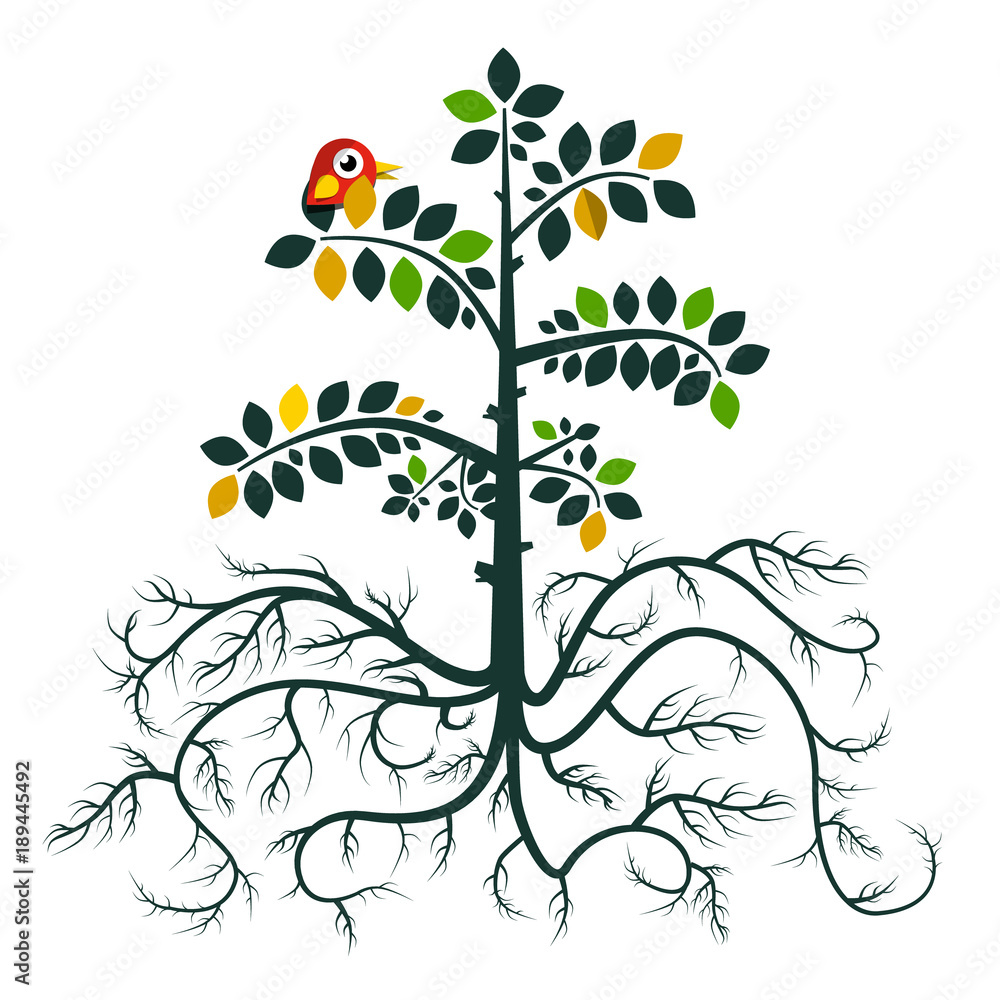 Poster tree with roots. vector flat design nature symbol with bird isolated on white background.