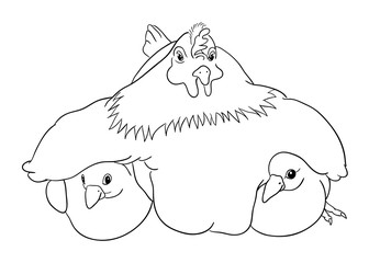 Cute chickens line art 01. Good use for symbol, logo, web icon, mascot, sign, coloring, or any design you want. 