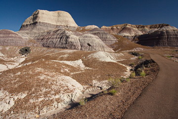 Landscape on Blue Mesa Trail in Petrified Forest National Park in Arizona in the USA
