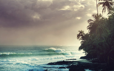 Küste in Costa Rica © Galyna Andrushko