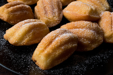 Homemade Madeleine Cakes with Powdered Sugar