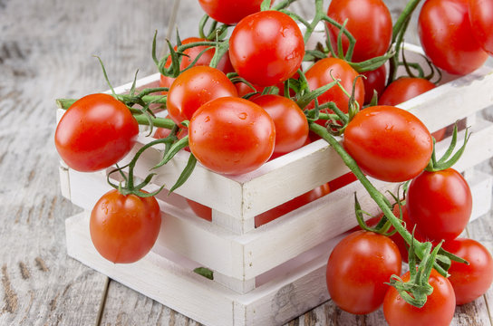 Red cigliegini tomatoes