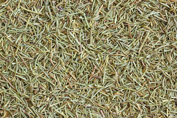 Rosemary dried background