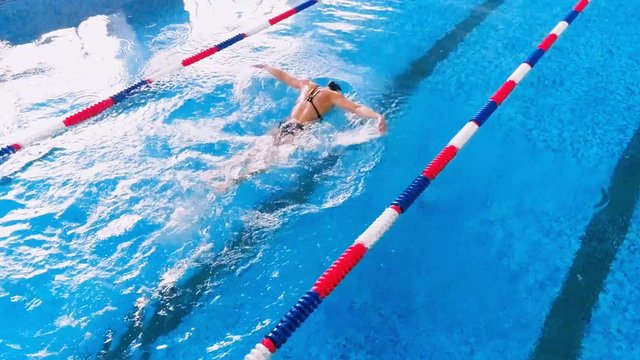 Professional swimmer training in pool. Slow motion.