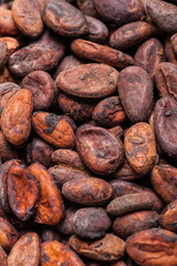 Close up perspective cocoa beans