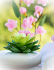 Fototapeta na wymiar Natural Health Spa Wellness Means Luxurious Relaxing Salon