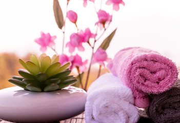 Obraz na płótnie Canvas Beauty Health Spa Wellness Displays Luxurious Relaxing Salon