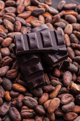 Raw cocoa beans and chocolate