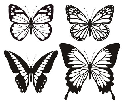 Butterfly Tattoo Patterns Images – Browse 26,769 Stock Photos, Vectors, and  Video | Adobe Stock