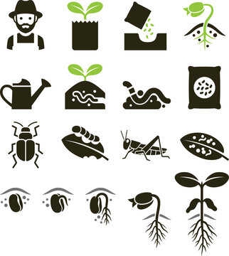 Plant icons. Vector Illustrations.