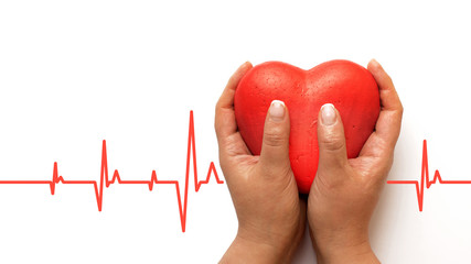 health, medicine, people and cardiology concept - close up of hand with cardiogram on small red...