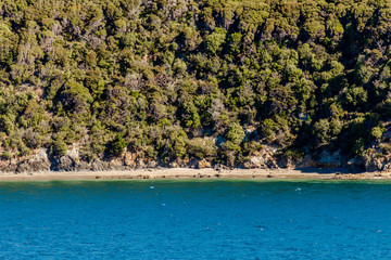 Wild landscape, shot from the top deck of a ferry, travelling from Wellington to Picton, New Zealand.