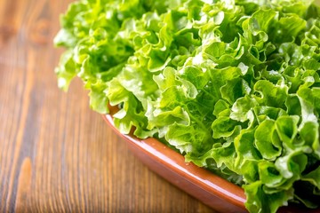 Fresh lettuce texture.