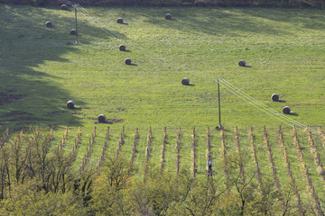Balaton uplands