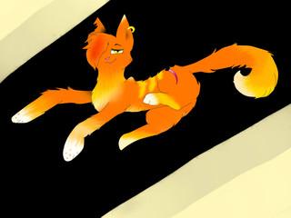 cat, illustration, animal, silhouette, cartoon, black, sign, nature, fun, drawing, symbol, jump