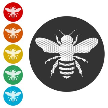 Bee Silhouette icon 