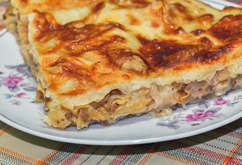 Piece of homemade pie