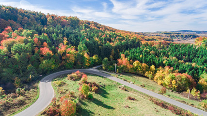 Autumn colored red leaves on trees in wood next to a highway in the mountains