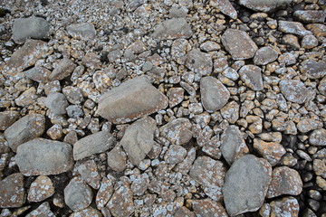 Arctic stone desert surface
