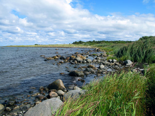 Laesoe / Denmark: Untouched nature on the stony coastline at Horneks Odde in the nature reserve...