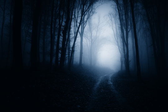 Fototapeta dark scary forest road at night, surreal atmosphere