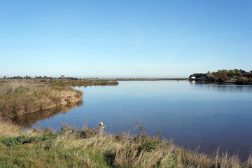 Marais de l'île de Ré