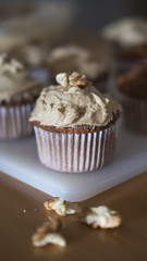 Vertical shot of coffee and walnuts homemade cupcakes with coffee icing, just taken out of the oven, positioned on a rustic white plastic board, indulgent dessert with considerable amount of sugar