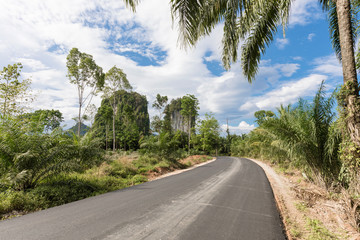 Fototapeta na wymiar Tropical nature with palms and karst rock