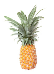 Fototapeta premium Pineapple fruit ripe on white