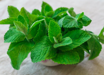 Fresh green mint leaves on a table in a vase.