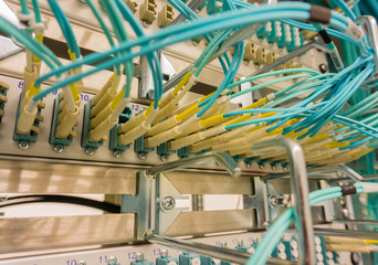 Netzwerkkabel an einem Netzwerk HUB 