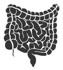 Gray intestines