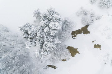 Aerial: Snow-covered countryside in winter
