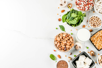 Healthy diet vegan food, veggie protein sources: Tofu, vegan milk, beans, lentils, nuts, soy milk,...