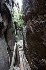 Narrow dark rocky chasm in forest