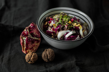 Chicorée-Radicchio-Salat
