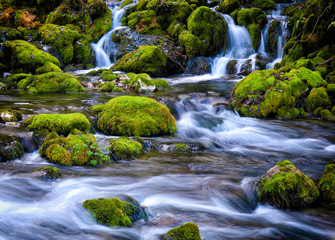 Mountain stream among the mossy stones