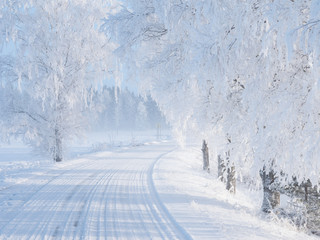 Fototapeta premium Country road in a cold winter landscape with snow and frost