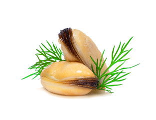 Fresh mussels with green fennell close-up isolated on white background