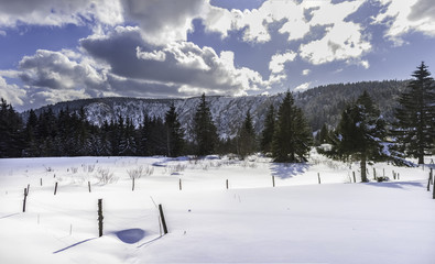 Winter landscape in the Vosges, France