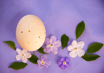 Egg and flowers on the purple textile background